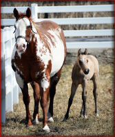 ice (5).jpg
